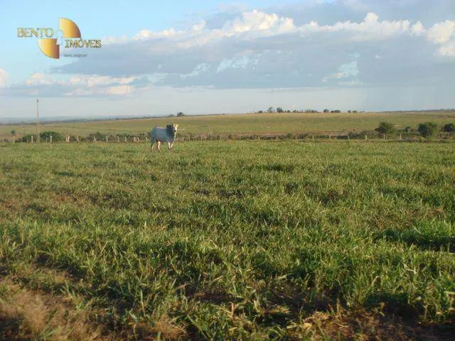 Fazenda à venda de 8.645 ha em Tangará da Serra, MT, Brasil
