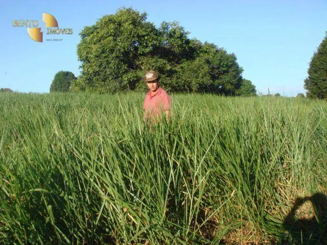Fazenda à venda de 8.645 ha em Tangará da Serra, MT, Brasil