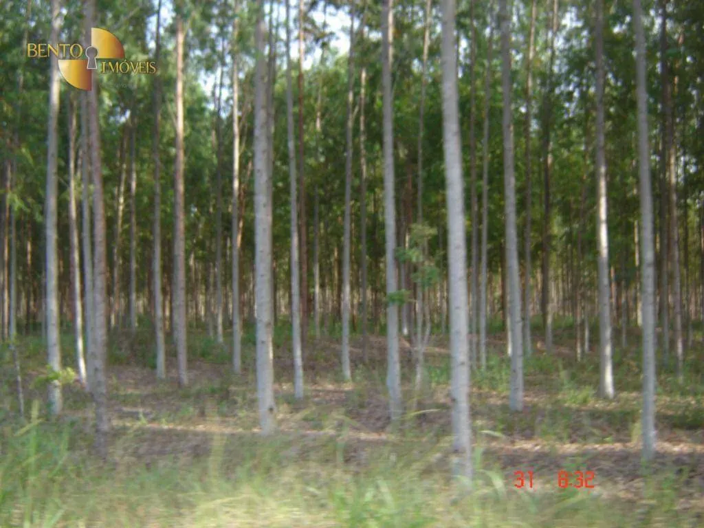 Fazenda à venda de 8.645 ha em Tangará da Serra, MT, Brasil