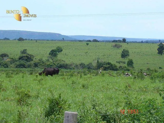 Fazenda à venda de 8.645 ha em Tangará da Serra, MT, Brasil