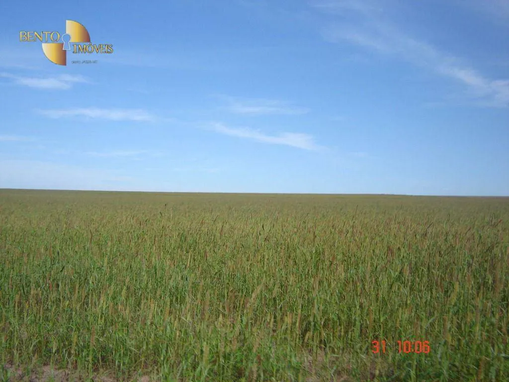 Fazenda à venda de 8.645 ha em Tangará da Serra, MT, Brasil