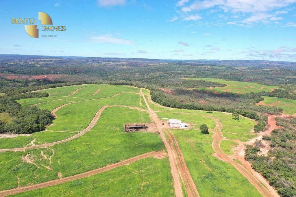 Fazenda à venda de 380 ha em Guiratinga, MT, Brasil