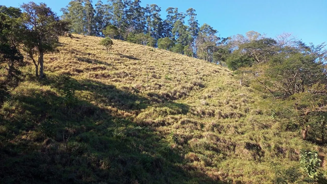 Chácara à venda de 2 ha em Monteiro Lobato, SP, Brasil