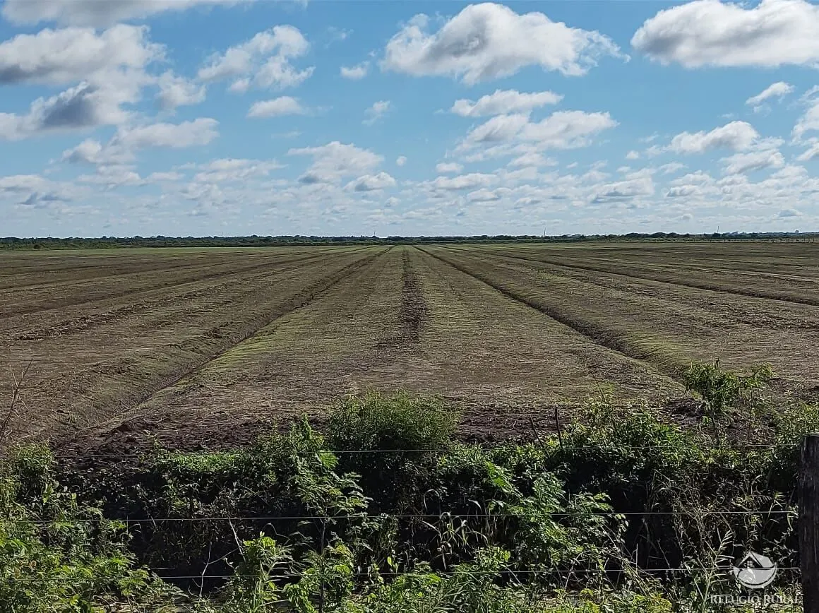 Farm for sale of 12,973 acres in Miranda, MS, Brazil
