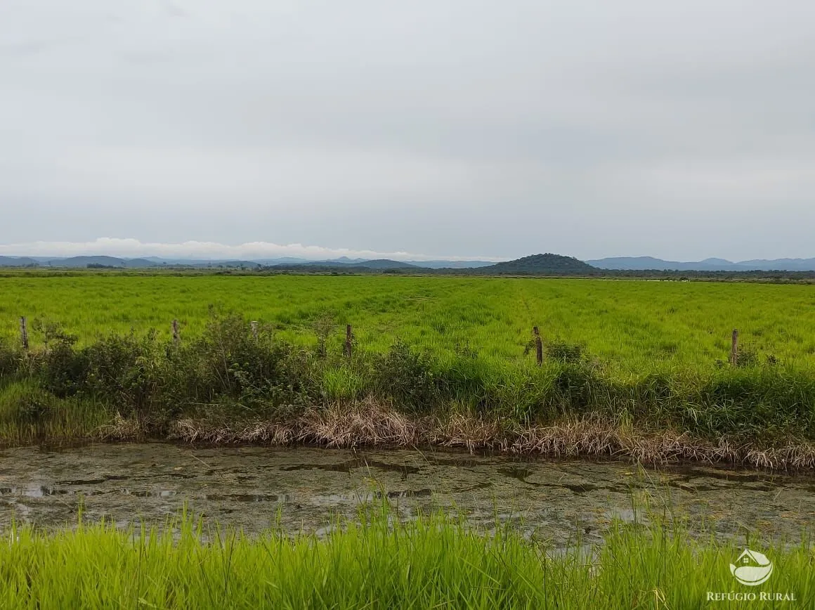 Farm for sale of 12,973 acres in Miranda, MS, Brazil