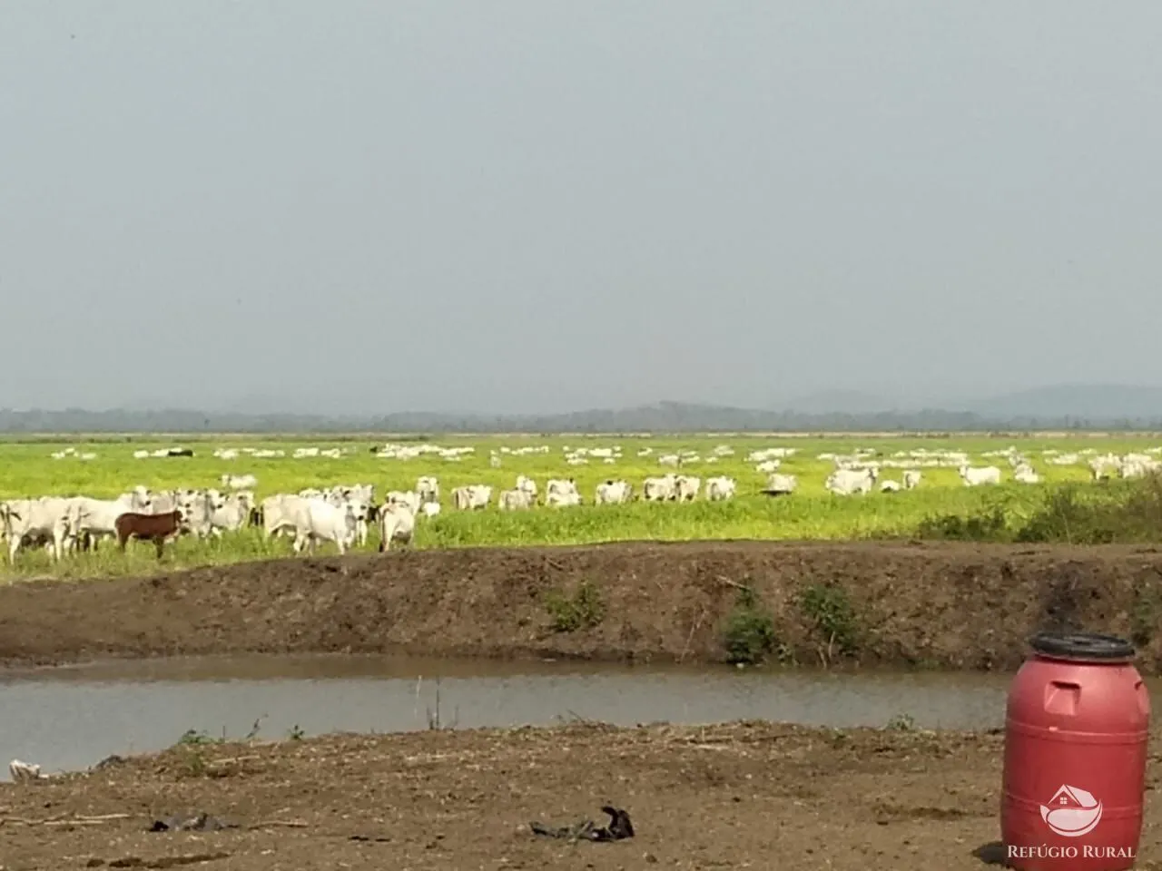 Farm for sale of 12,973 acres in Miranda, MS, Brazil