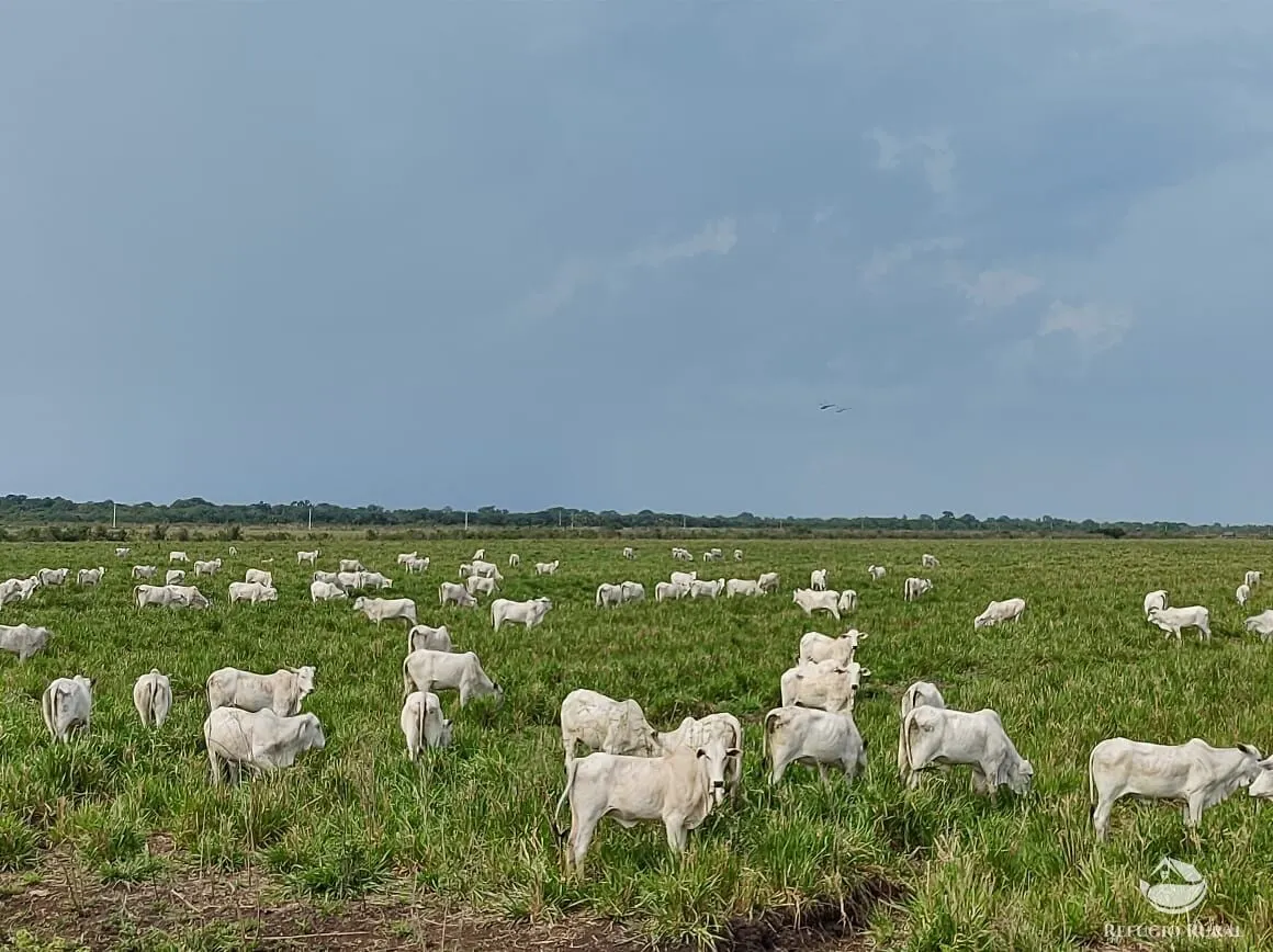 Fazenda à venda de 5.250 ha em Miranda, MS, Brasil