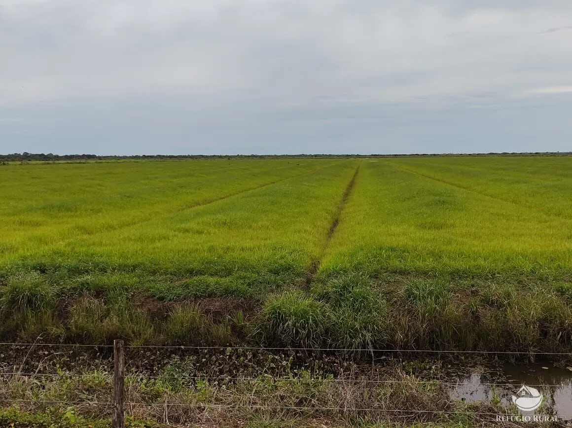 Farm for sale of 12,973 acres in Miranda, MS, Brazil