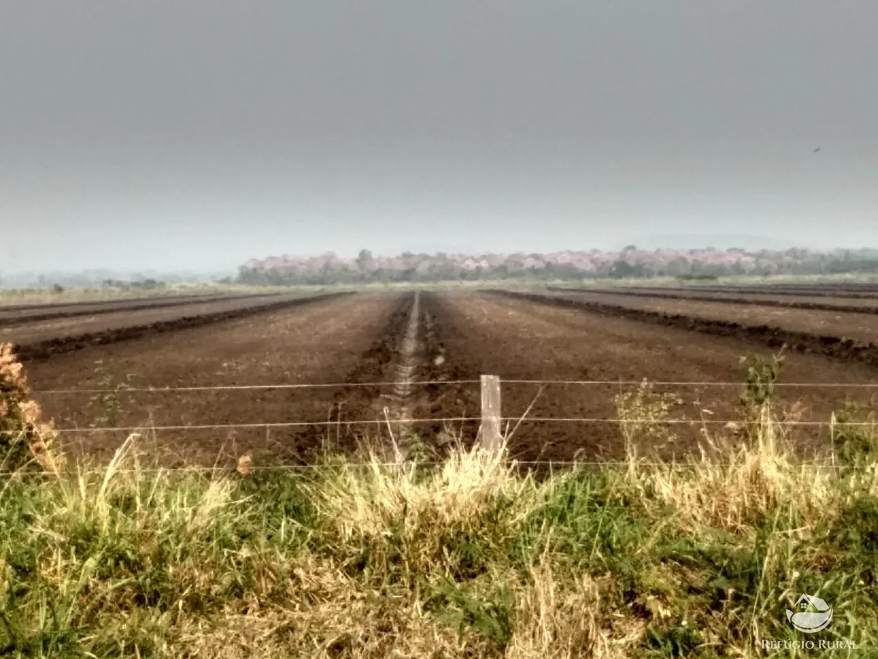 Farm for sale of 12,973 acres in Miranda, MS, Brazil