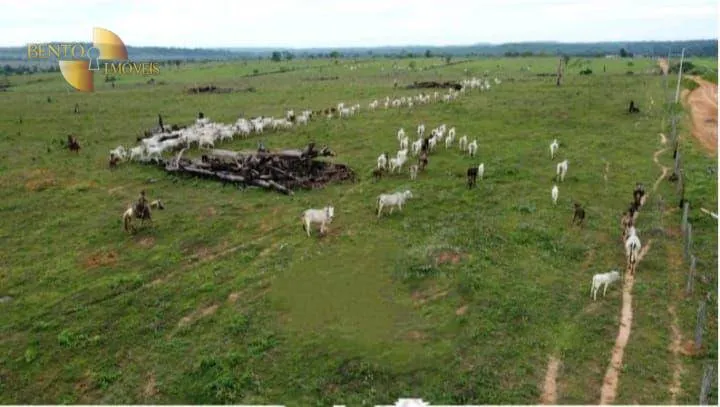 Fazenda à venda de 7.000 ha em Juara, MT, Brasil