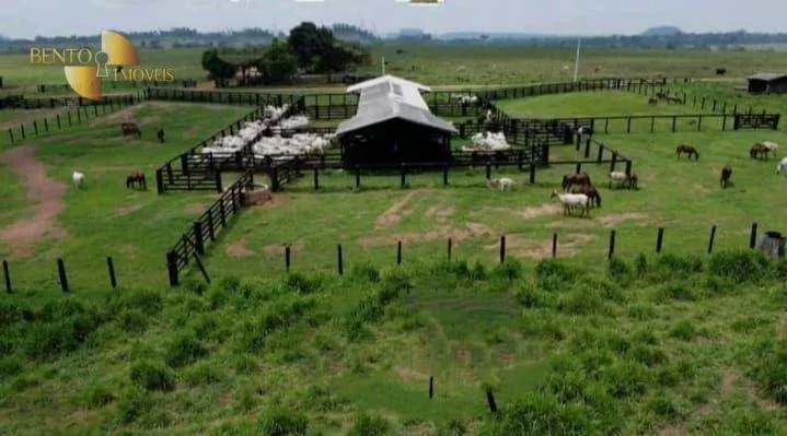 Fazenda à venda de 7.000 ha em Juara, MT, Brasil