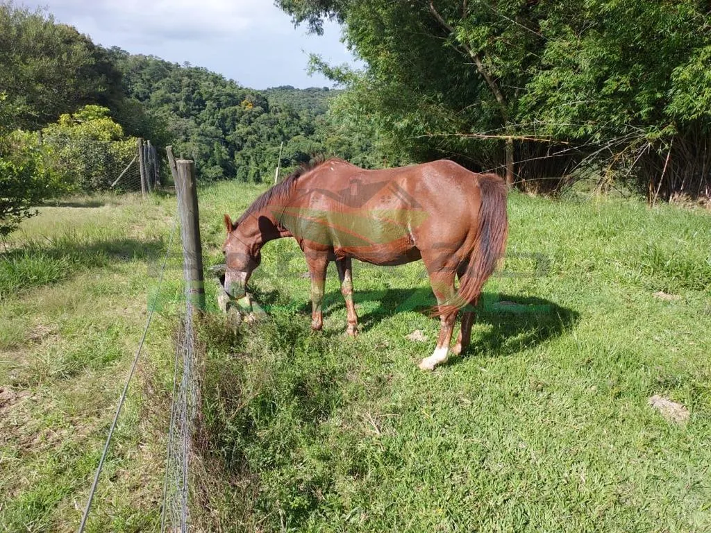 Small farm for sale of 45 acres in Itapetininga, SP, Brazil