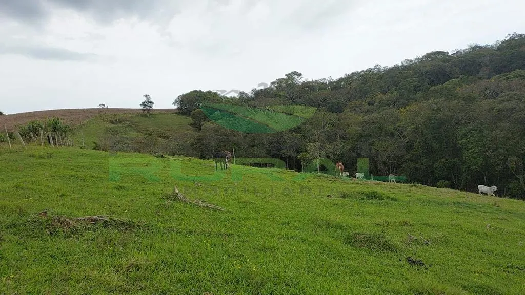 Small farm for sale of 45 acres in Itapetininga, SP, Brazil