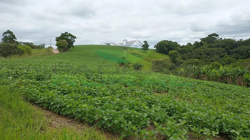Small farm for sale of 45 acres in Itapetininga, SP, Brazil