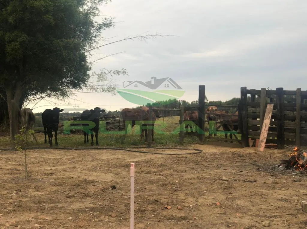 Small farm for sale of 45 acres in Itapetininga, SP, Brazil