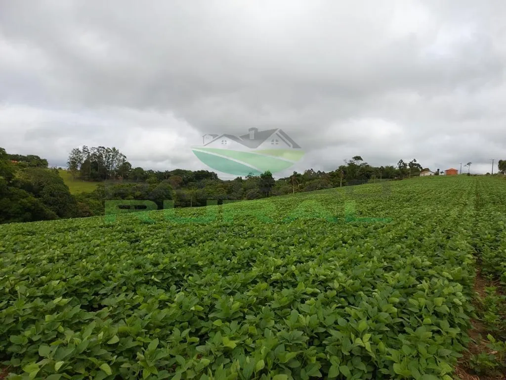 Small farm for sale of 45 acres in Itapetininga, SP, Brazil