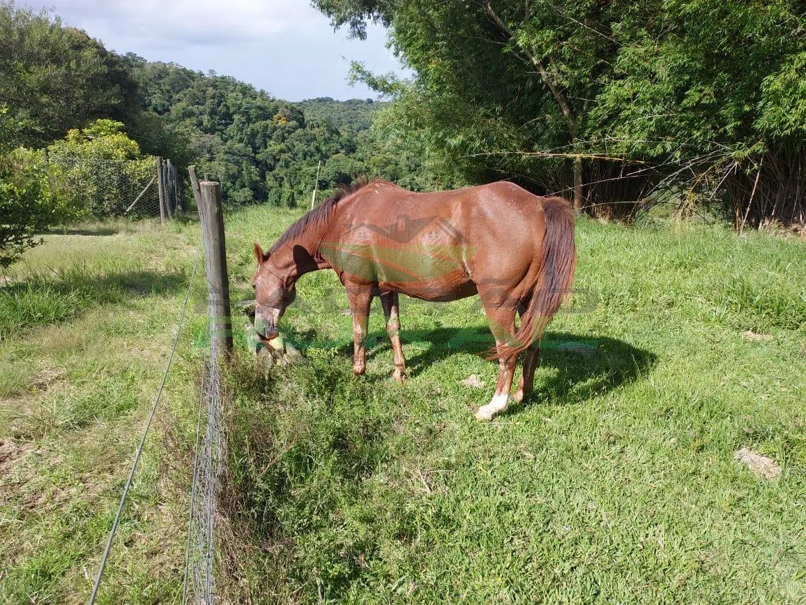 Small farm for sale of 45 acres in Itapetininga, SP, Brazil