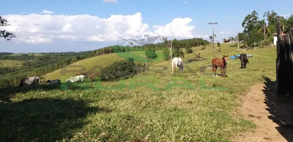 Small farm for sale of 45 acres in Itapetininga, SP, Brazil