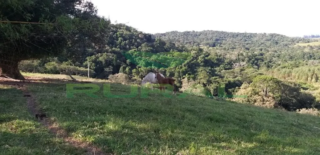 Small farm for sale of 45 acres in Itapetininga, SP, Brazil