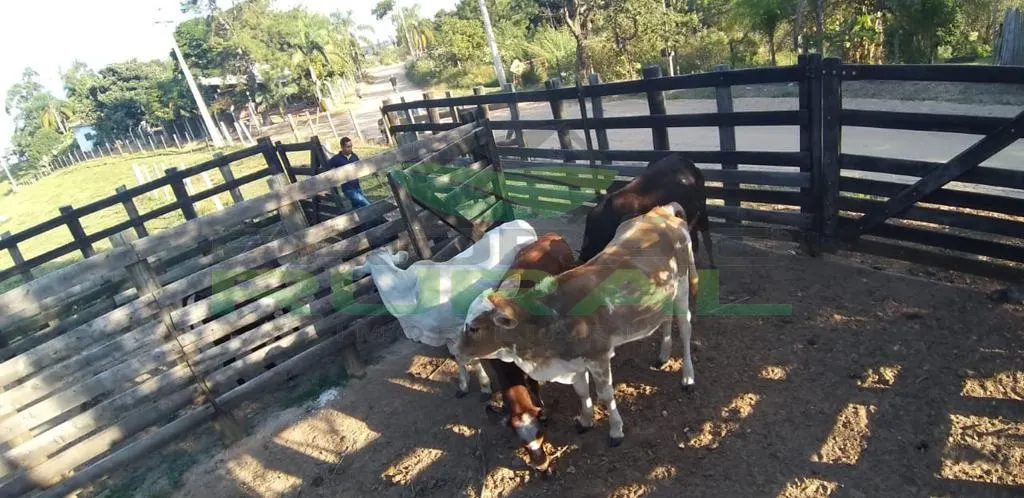 Small farm for sale of 45 acres in Itapetininga, SP, Brazil