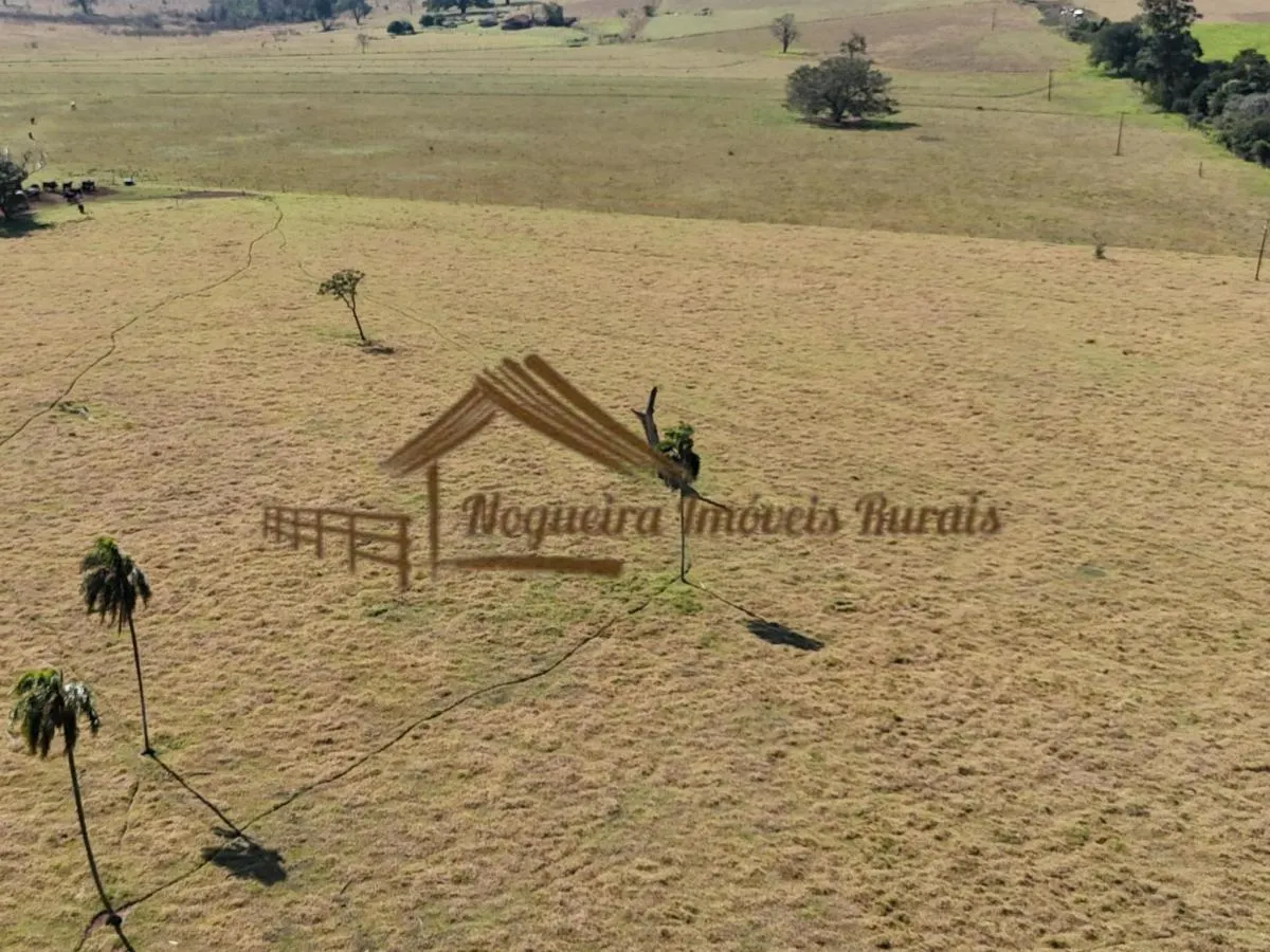 Fazenda à venda de 111 ha em Avaré, SP, Brasil