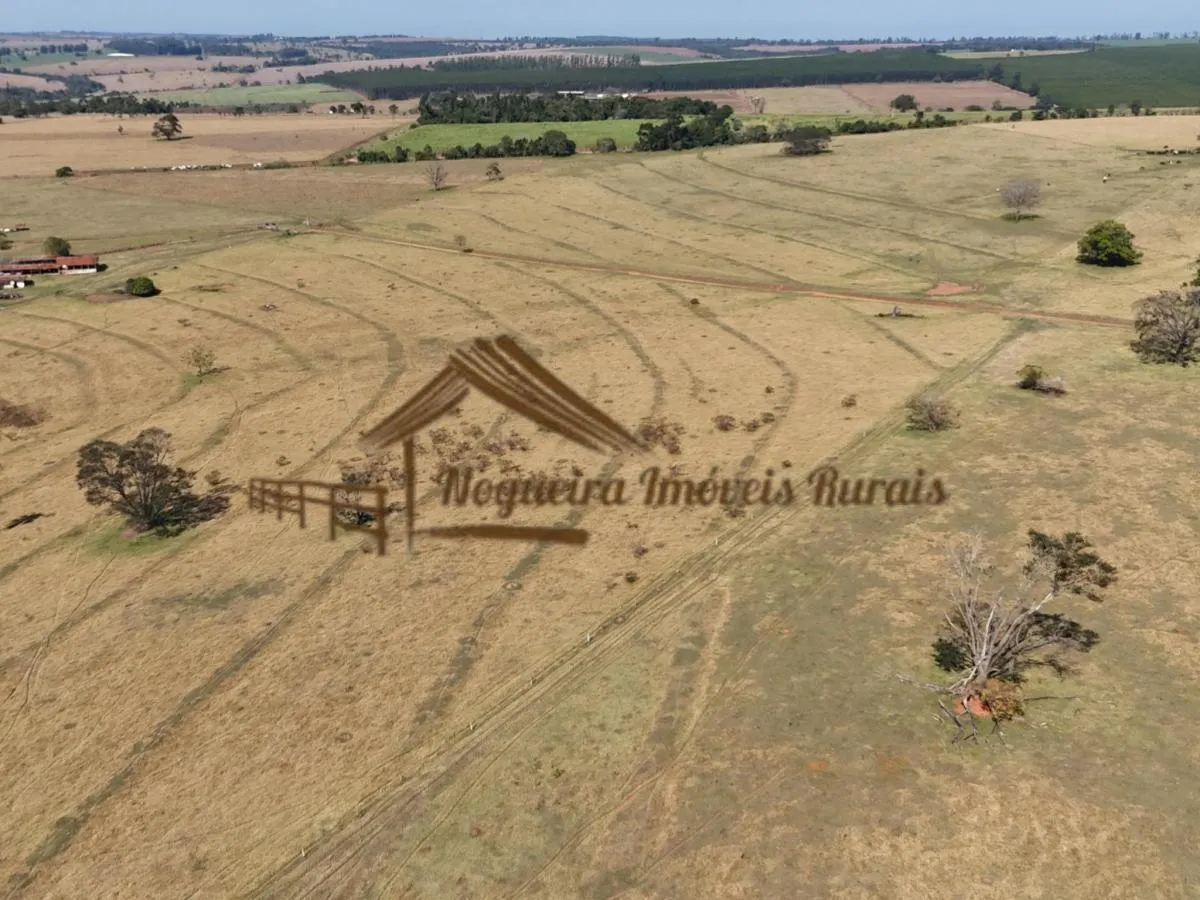 Fazenda à venda de 111 ha em Avaré, SP, Brasil