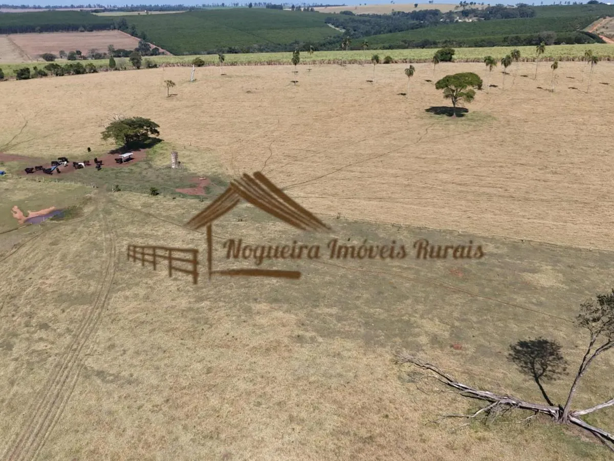 Fazenda à venda de 111 ha em Avaré, SP, Brasil