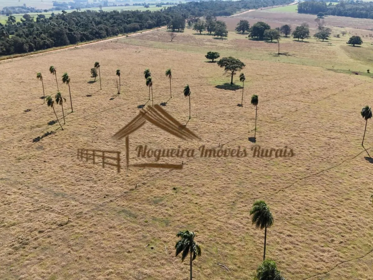 Fazenda à venda de 111 ha em Avaré, SP, Brasil
