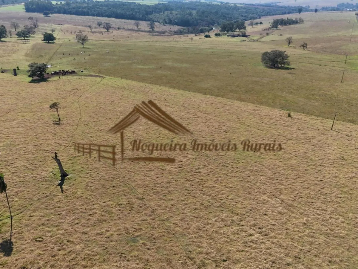 Fazenda à venda de 111 ha em Avaré, SP, Brasil
