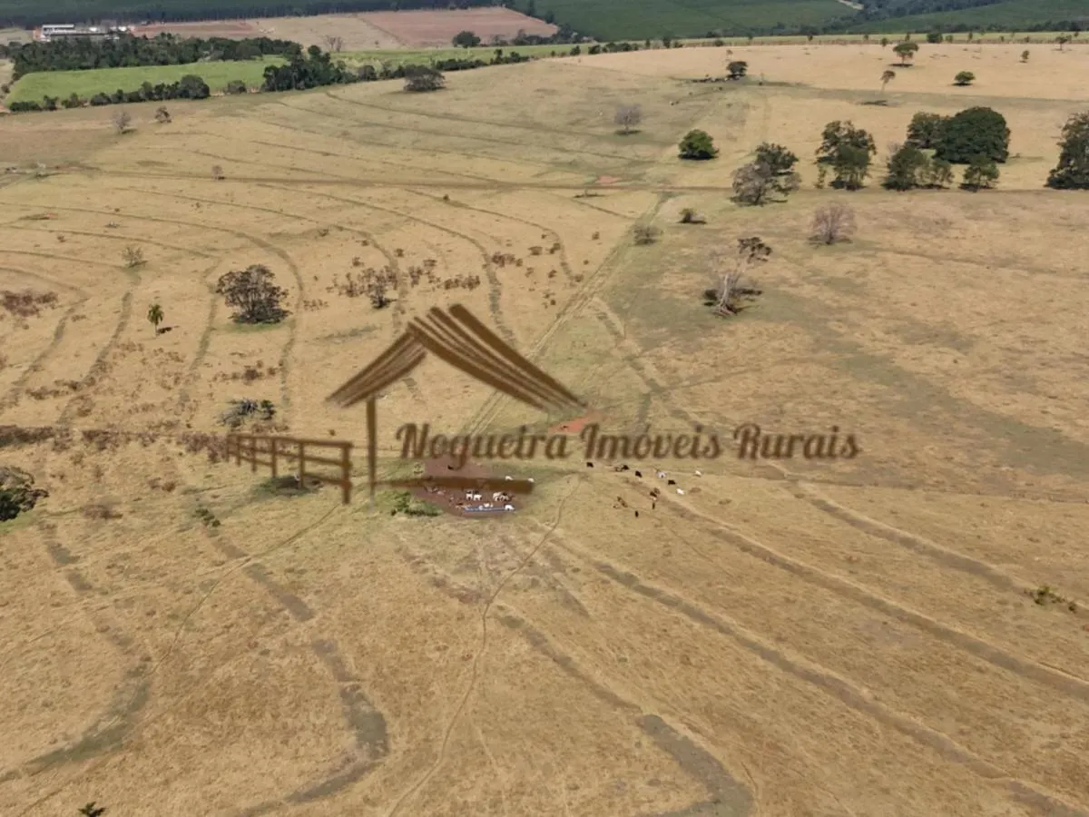 Fazenda à venda de 111 ha em Avaré, SP, Brasil