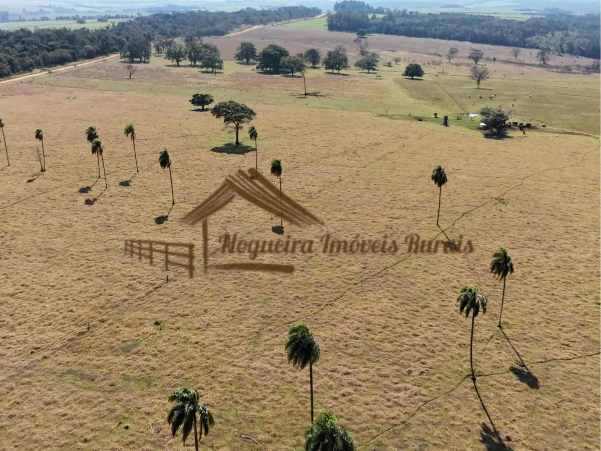 Fazenda à venda de 111 ha em Avaré, SP, Brasil