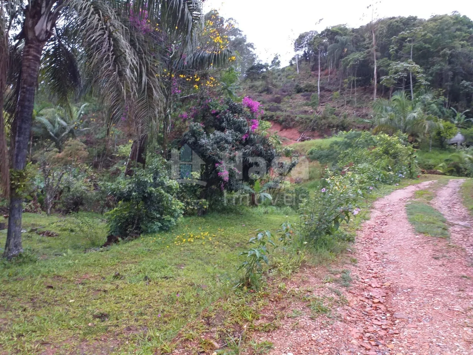 Fazenda à venda de 5 ha em Brusque, SC, Brasil