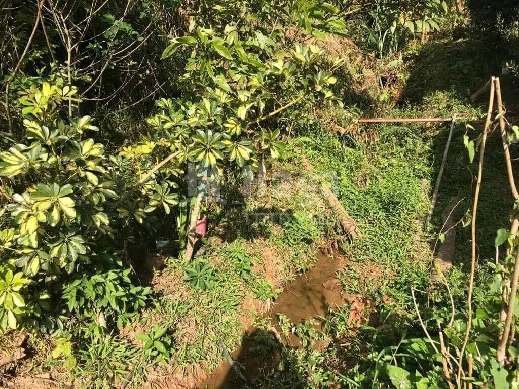 Fazenda à venda de 5 ha em Brusque, SC, Brasil