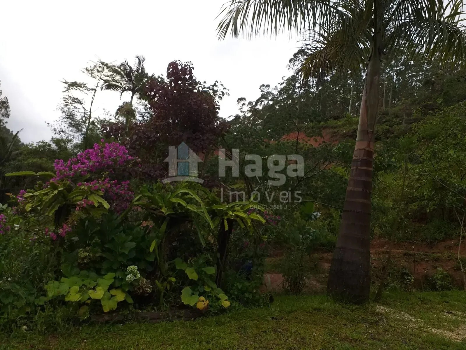 Fazenda à venda de 5 ha em Brusque, SC, Brasil
