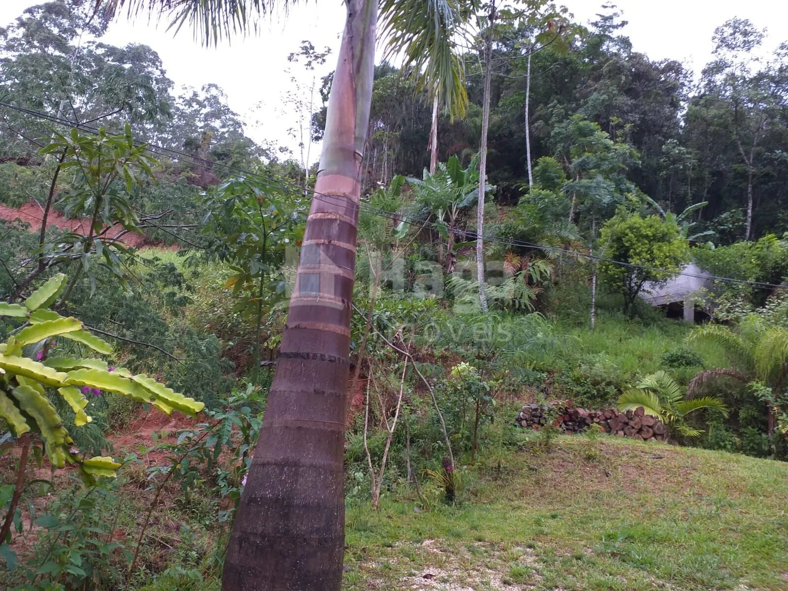 Fazenda à venda de 5 ha em Brusque, SC, Brasil