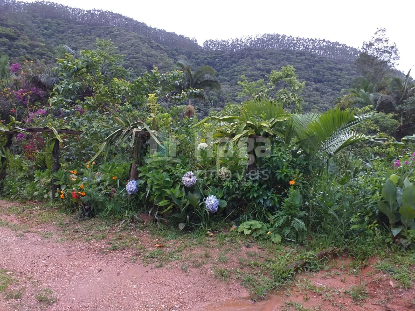 Fazenda à venda de 5 ha em Brusque, SC, Brasil