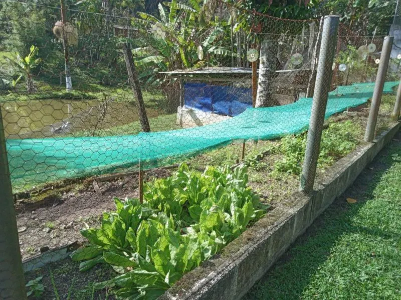 Chácara à venda de 3 ha em Juquitiba, SP, Brasil