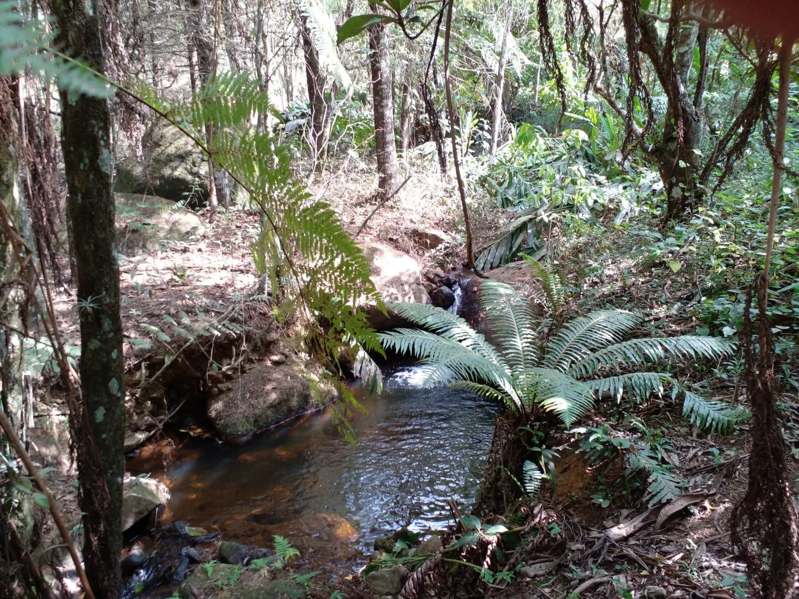 Sítio à venda de 7 ha em Sapucaí-Mirim, MG, Brasil