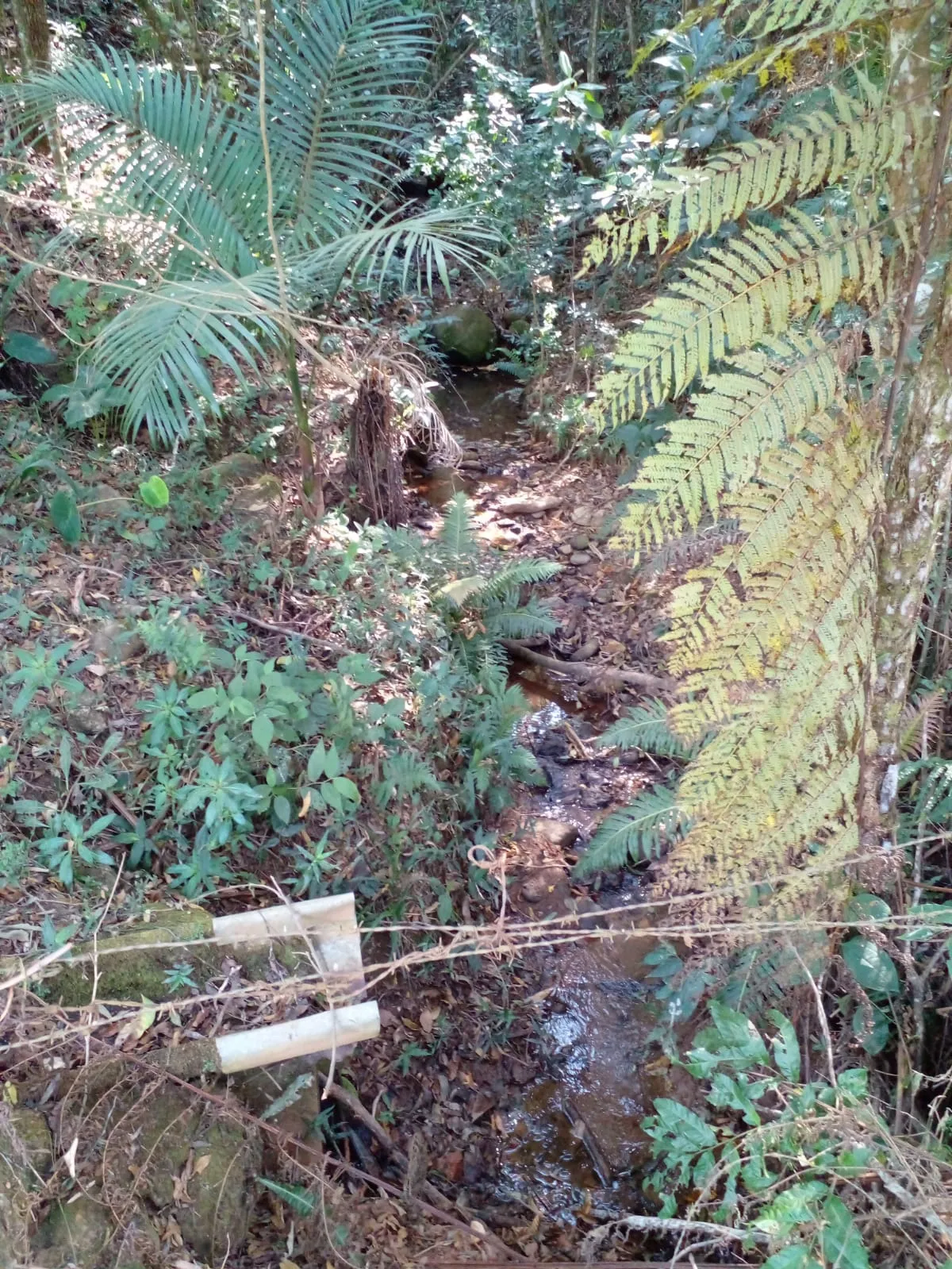 Sítio à venda de 7 ha em Sapucaí-Mirim, MG, Brasil