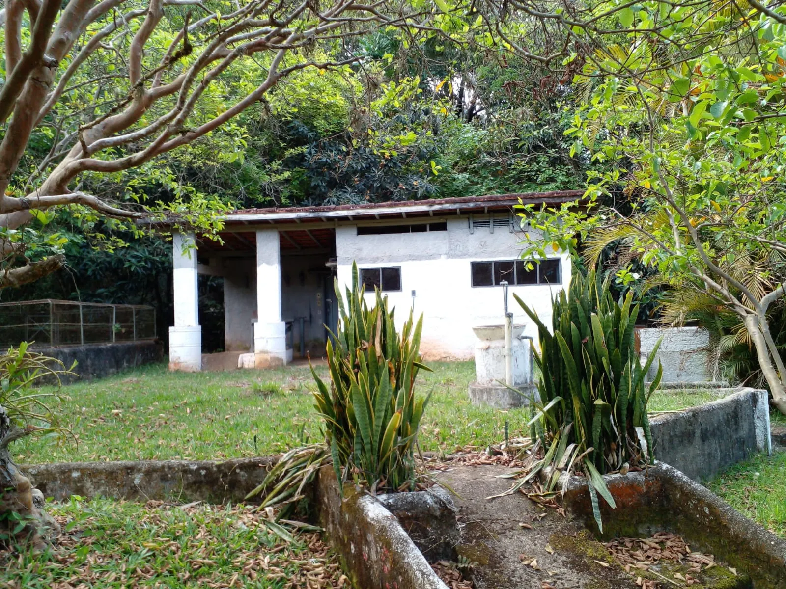 Sítio à venda de 7 ha em Sapucaí-Mirim, MG, Brasil