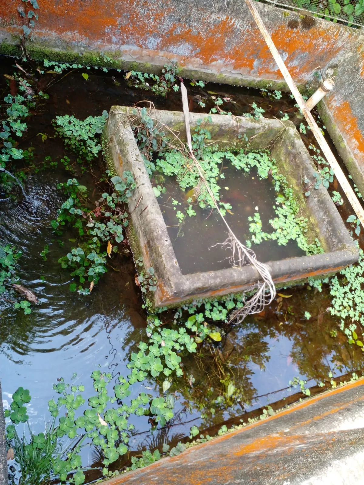 Sítio à venda de 7 ha em Sapucaí-Mirim, MG, Brasil
