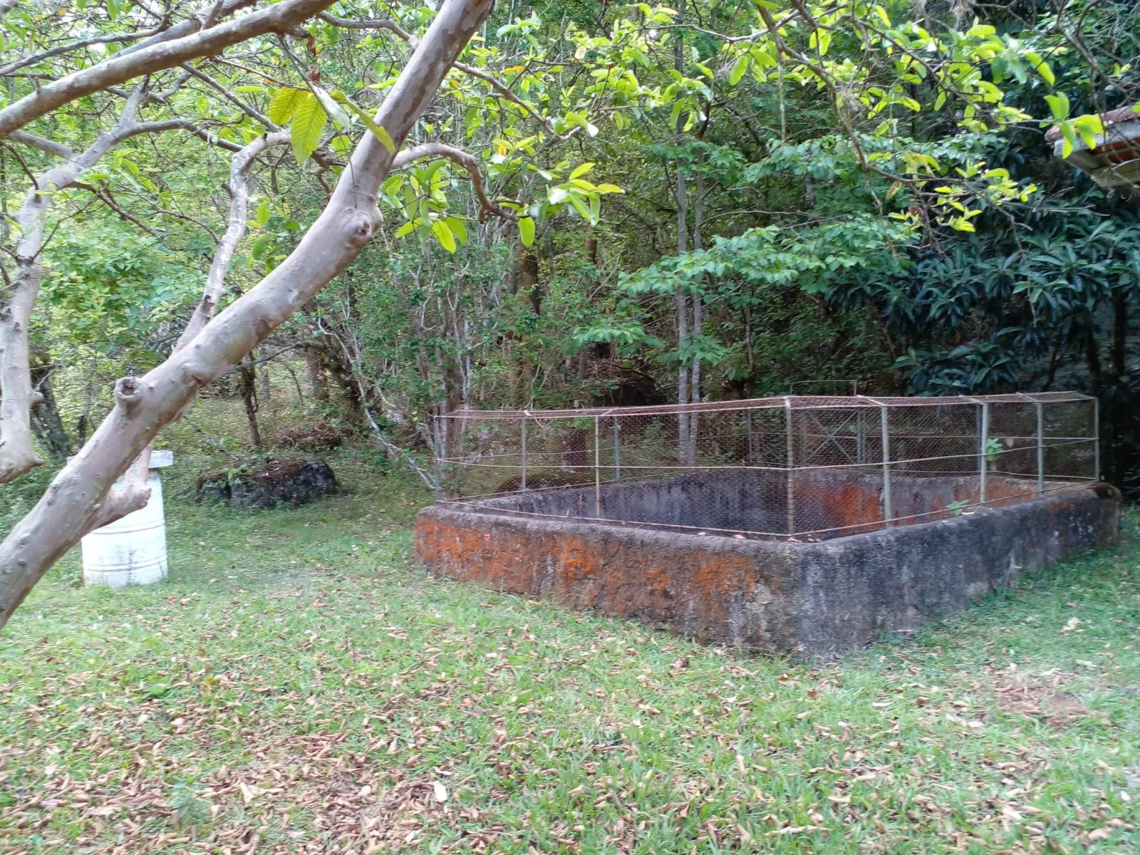 Sítio à venda de 7 ha em Sapucaí-Mirim, MG, Brasil