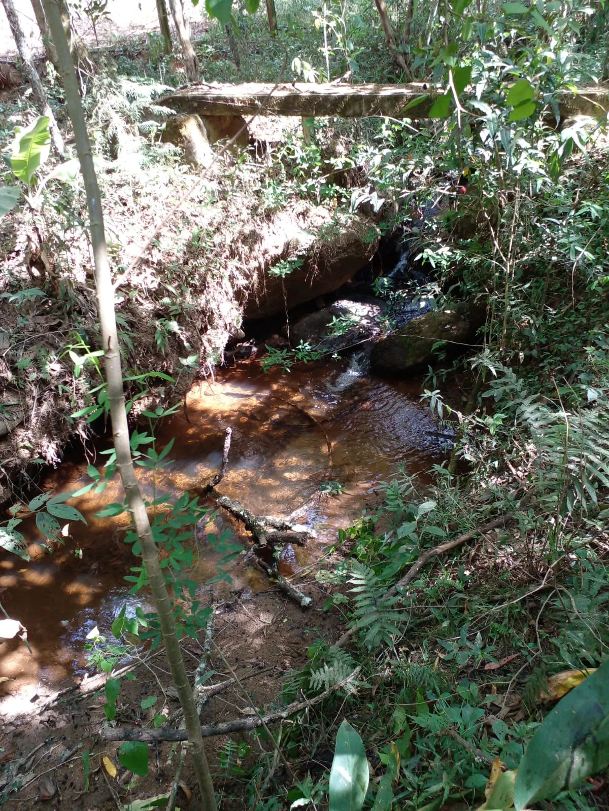 Sítio à venda de 7 ha em Sapucaí-Mirim, MG, Brasil