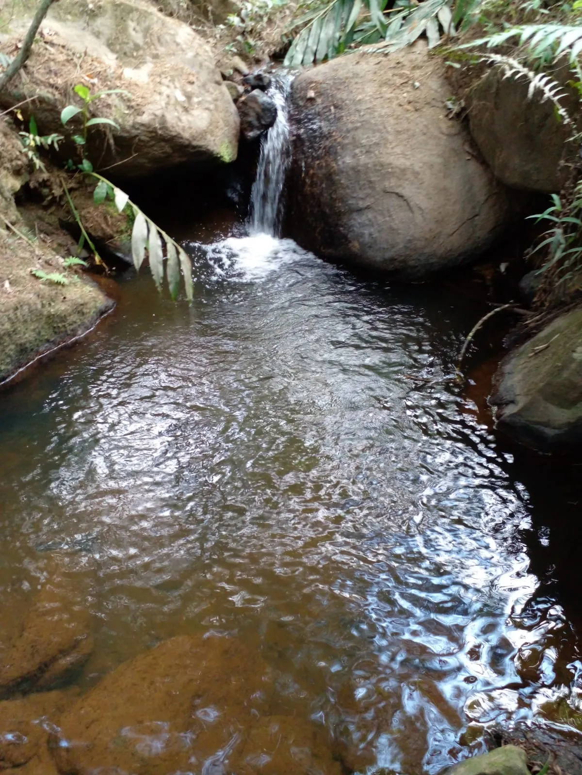 Sítio à venda de 7 ha em Sapucaí-Mirim, MG, Brasil