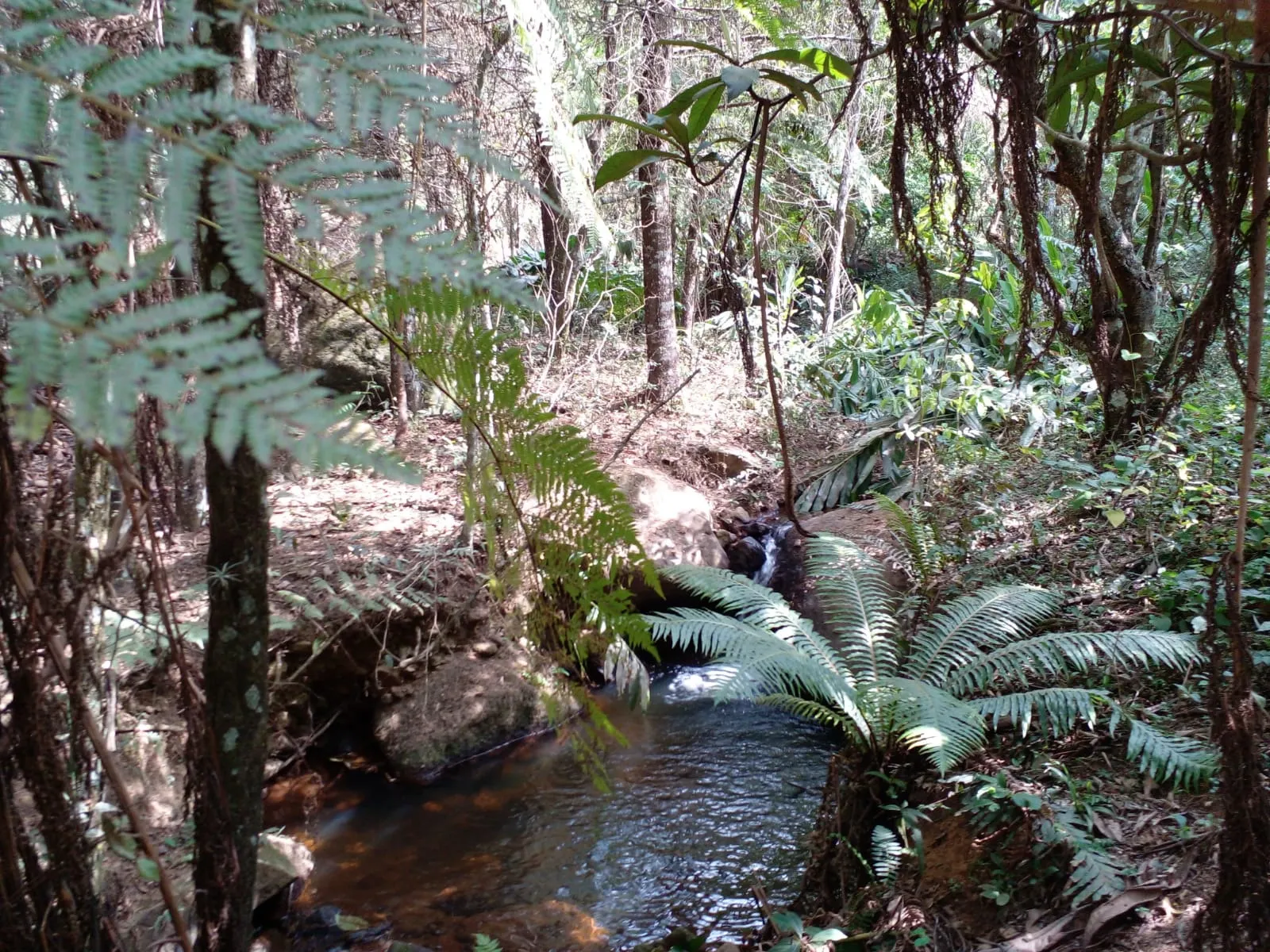 Sítio à venda de 7 ha em Sapucaí-Mirim, MG, Brasil