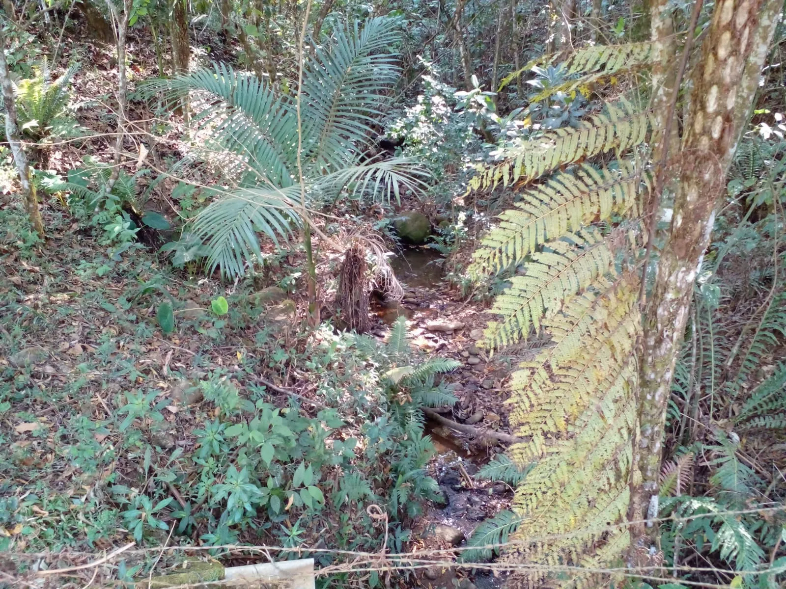 Sítio à venda de 7 ha em Sapucaí-Mirim, MG, Brasil