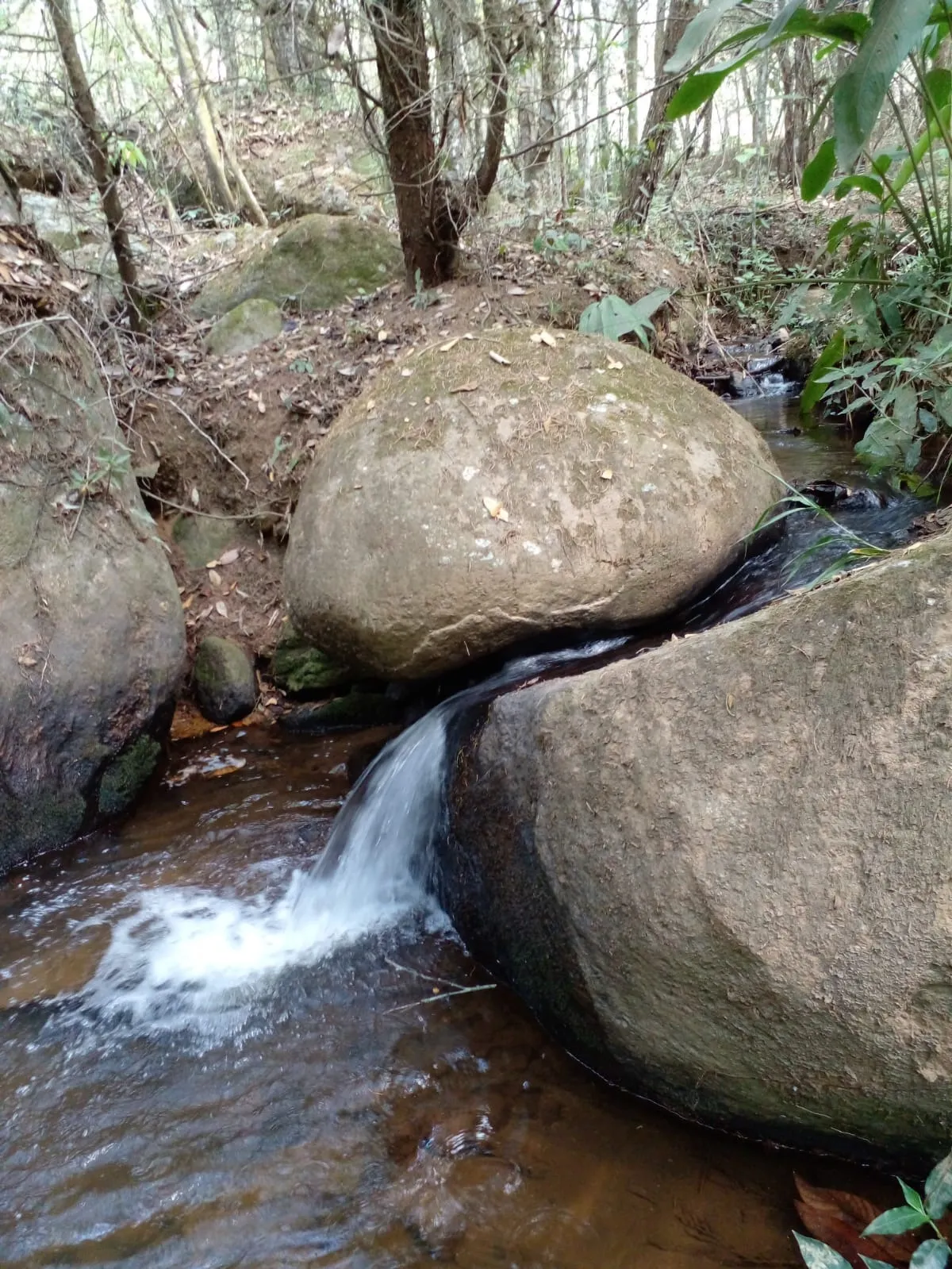 Sítio à venda de 7 ha em Sapucaí-Mirim, MG, Brasil