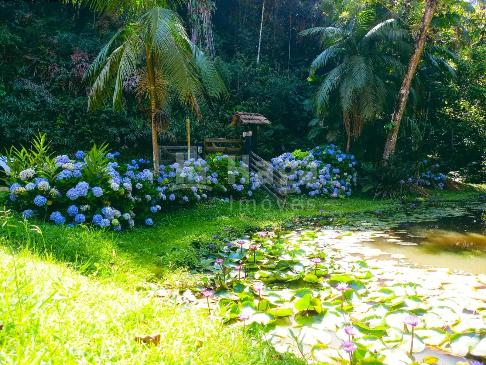 Fazenda à venda de 17 ha em Ibirama, SC, Brasil