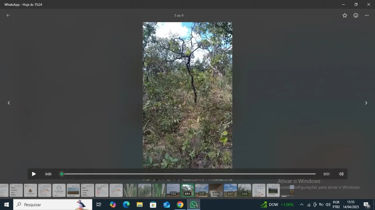 Fazenda à venda de 2.500 ha em Barra do Garças, MT, Brasil
