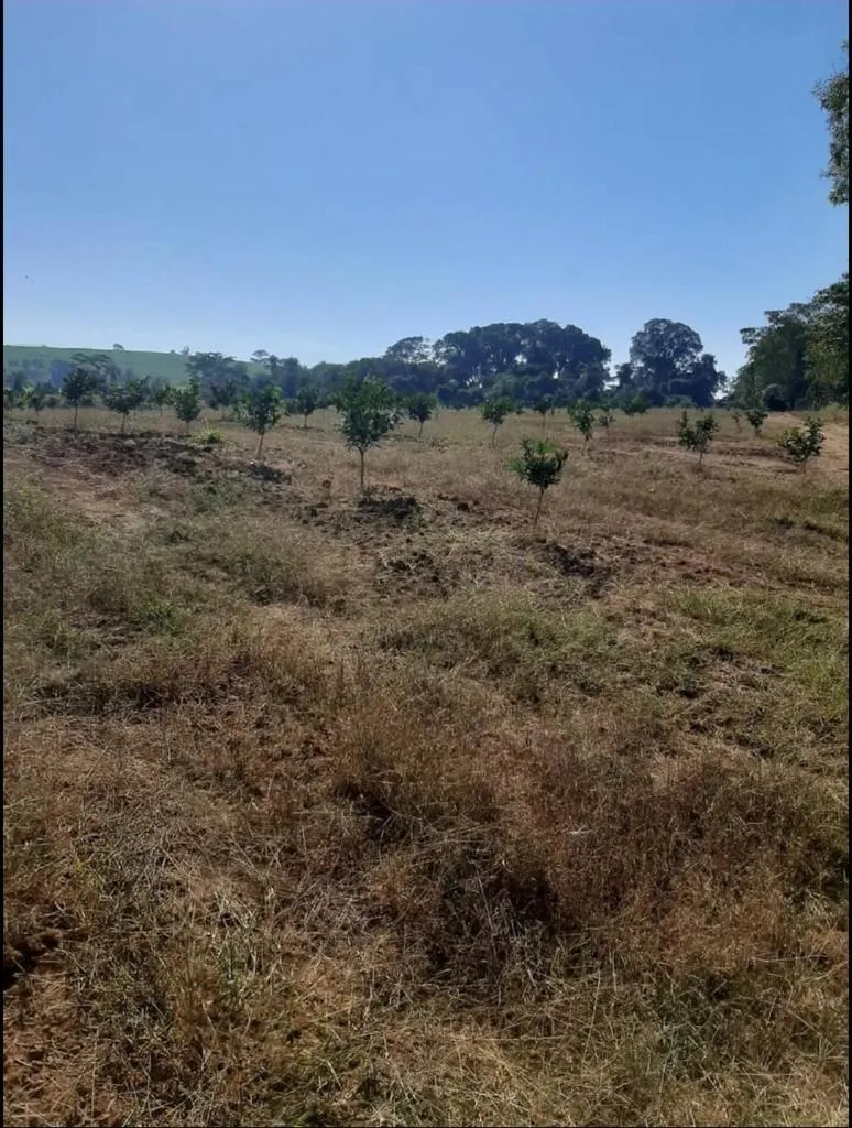 Fazenda à venda de 128 ha em São João da Boa Vista, SP, Brasil